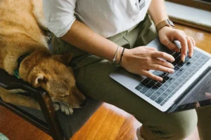 small business owner on laptop with dog near by