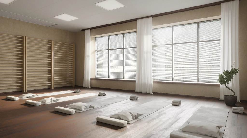 picture of a yoga studio with mats